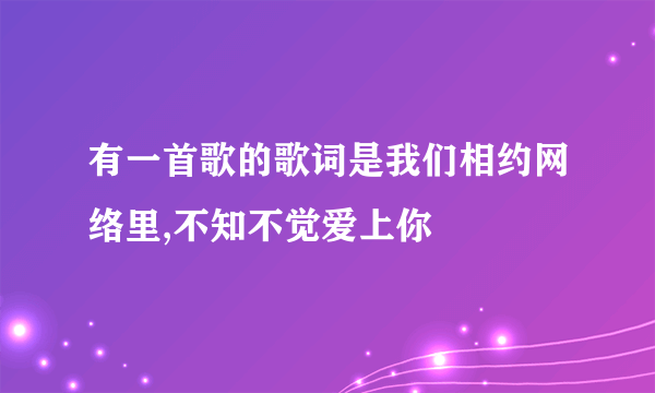 有一首歌的歌词是我们相约网络里,不知不觉爱上你