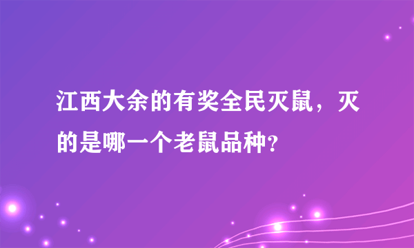 江西大余的有奖全民灭鼠，灭的是哪一个老鼠品种？