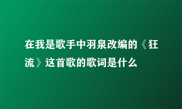 在我是歌手中羽泉改编的《狂流》这首歌的歌词是什么