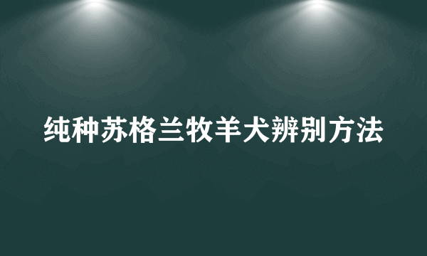 纯种苏格兰牧羊犬辨别方法