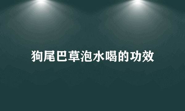 狗尾巴草泡水喝的功效