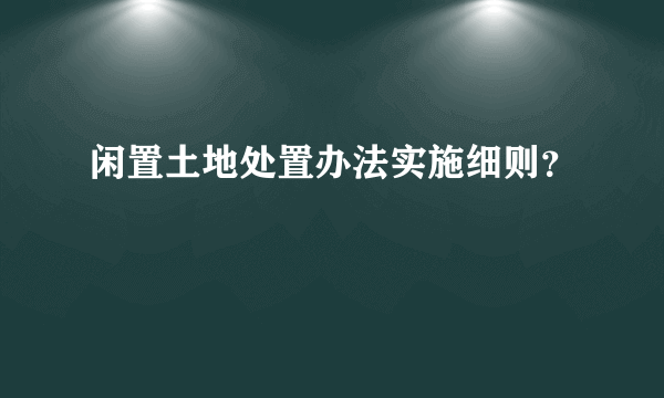 闲置土地处置办法实施细则？