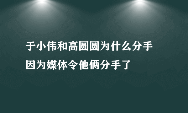 于小伟和高圆圆为什么分手 因为媒体令他俩分手了