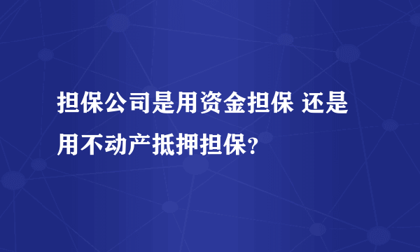 担保公司是用资金担保 还是用不动产抵押担保？