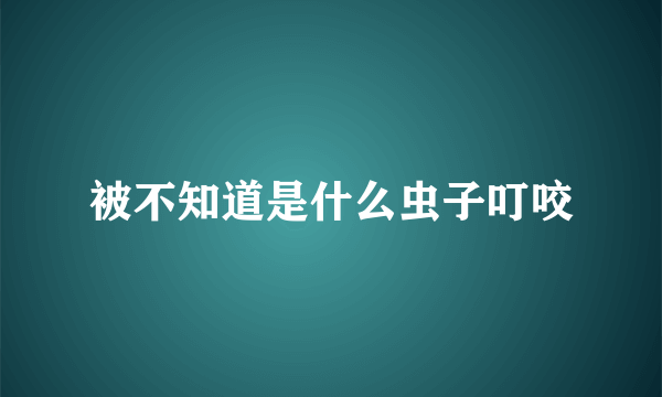 被不知道是什么虫子叮咬