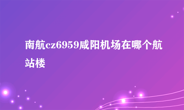 南航cz6959咸阳机场在哪个航站楼