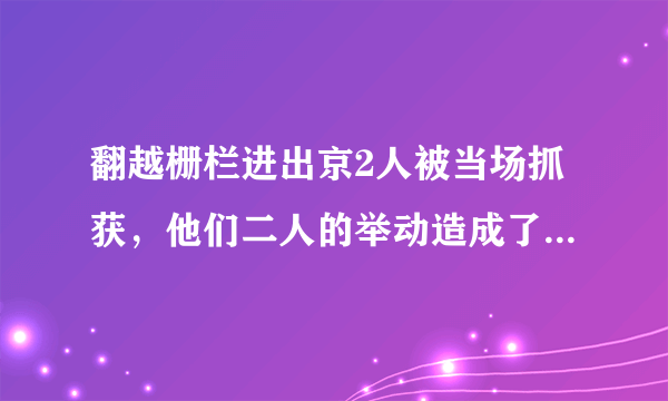 翻越栅栏进出京2人被当场抓获，他们二人的举动造成了怎样的恶劣影响？