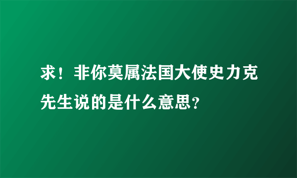 求！非你莫属法国大使史力克先生说的是什么意思？