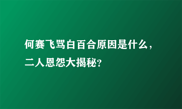 何赛飞骂白百合原因是什么，二人恩怨大揭秘？