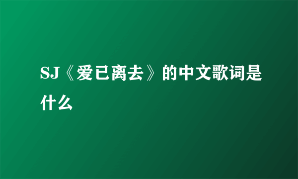 SJ《爱已离去》的中文歌词是什么