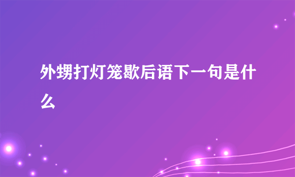 外甥打灯笼歇后语下一句是什么