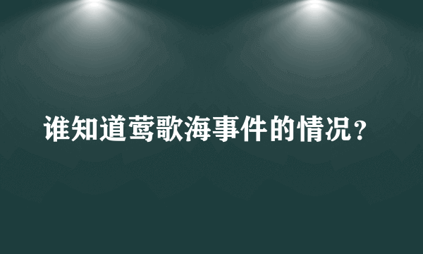 谁知道莺歌海事件的情况？