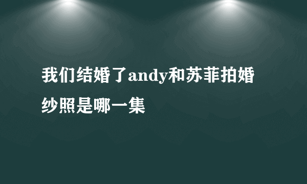 我们结婚了andy和苏菲拍婚纱照是哪一集