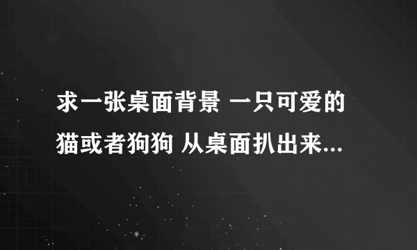 求一张桌面背景 一只可爱的猫或者狗狗 从桌面扒出来 露出头的那种