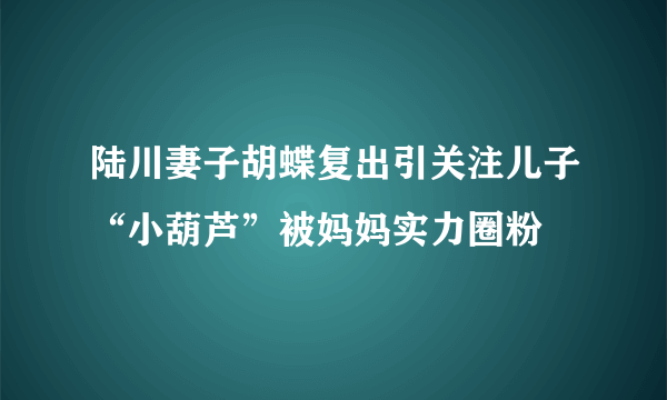 陆川妻子胡蝶复出引关注儿子“小葫芦”被妈妈实力圈粉