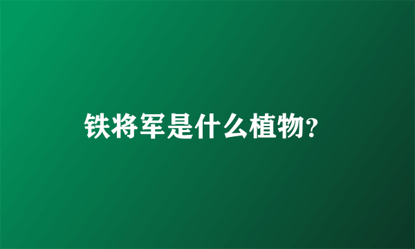 铁将军是什么植物？