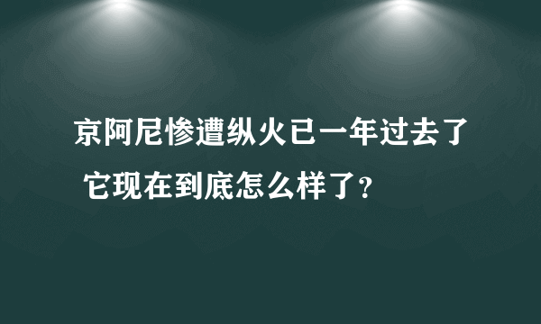 京阿尼惨遭纵火已一年过去了 它现在到底怎么样了？