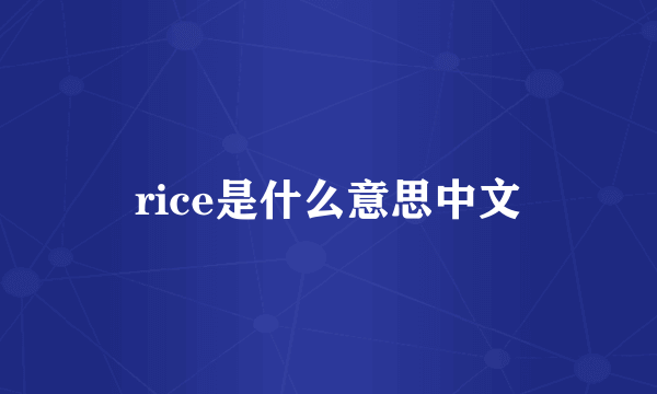 rice是什么意思中文