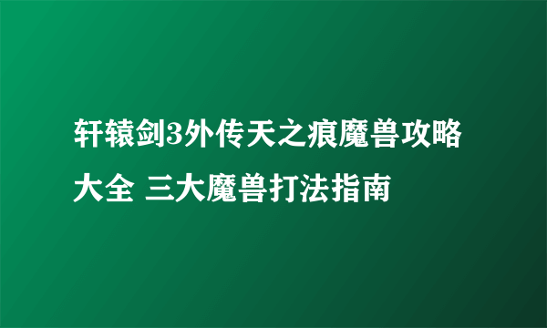 轩辕剑3外传天之痕魔兽攻略大全 三大魔兽打法指南