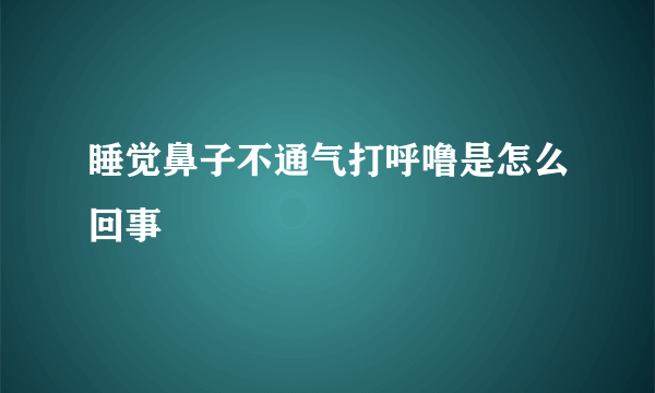 睡觉鼻子不通气打呼噜是怎么回事