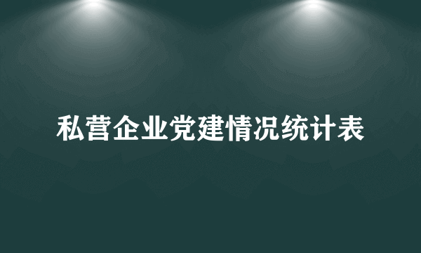 私营企业党建情况统计表