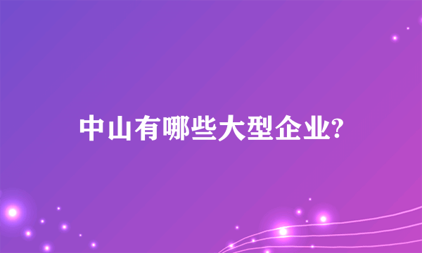 中山有哪些大型企业?