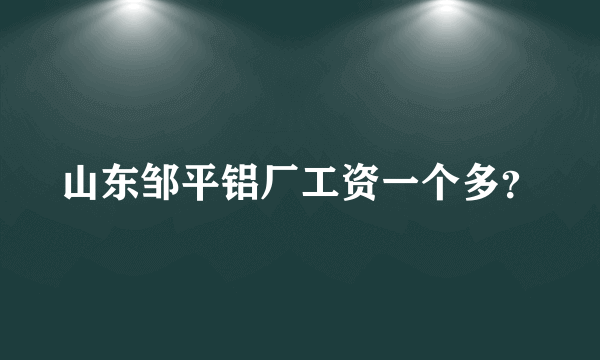 山东邹平铝厂工资一个多？