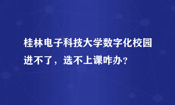 桂林电子科技大学数字化校园进不了，选不上课咋办？