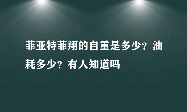 菲亚特菲翔的自重是多少？油耗多少？有人知道吗