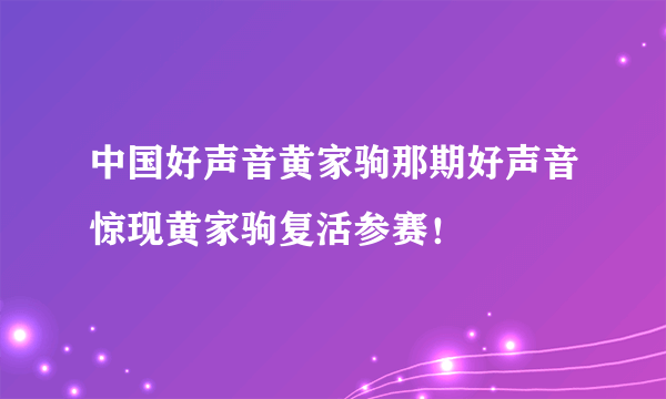 中国好声音黄家驹那期好声音惊现黄家驹复活参赛！