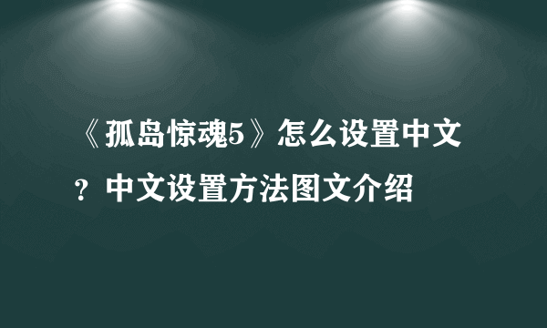 《孤岛惊魂5》怎么设置中文？中文设置方法图文介绍