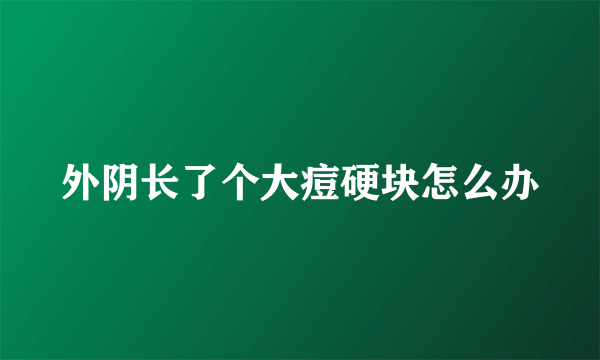 外阴长了个大痘硬块怎么办