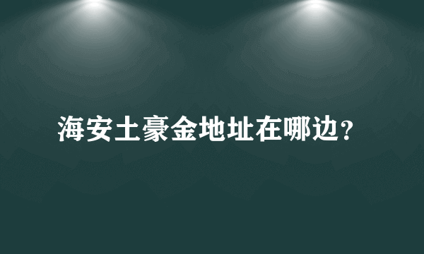 海安土豪金地址在哪边？