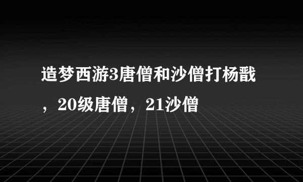 造梦西游3唐僧和沙僧打杨戬，20级唐僧，21沙僧