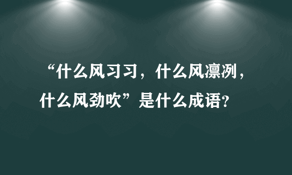 “什么风习习，什么风凛冽，什么风劲吹”是什么成语？