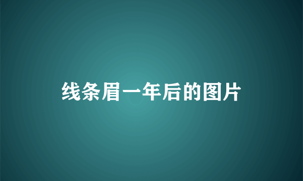 线条眉一年后的图片