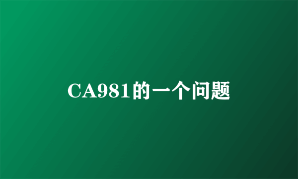 CA981的一个问题