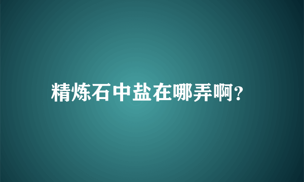 精炼石中盐在哪弄啊？