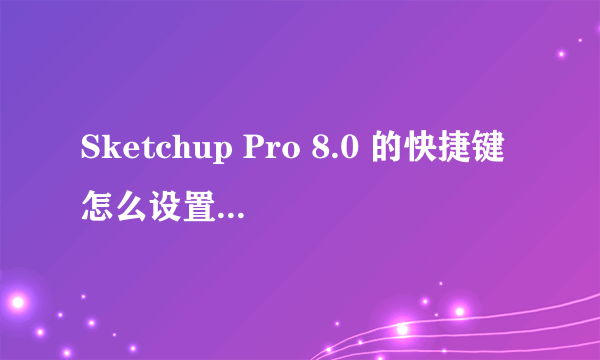 Sketchup Pro 8.0 的快捷键怎么设置?????