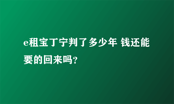 e租宝丁宁判了多少年 钱还能要的回来吗？