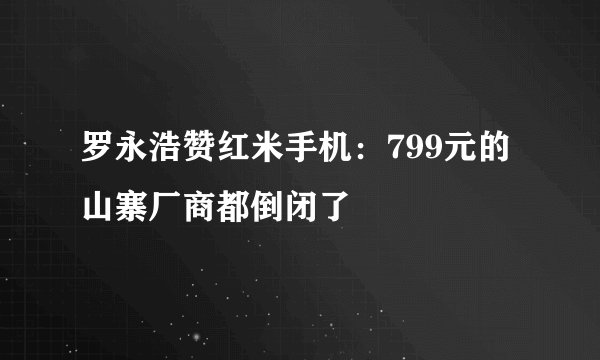 罗永浩赞红米手机：799元的山寨厂商都倒闭了