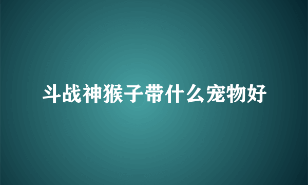 斗战神猴子带什么宠物好