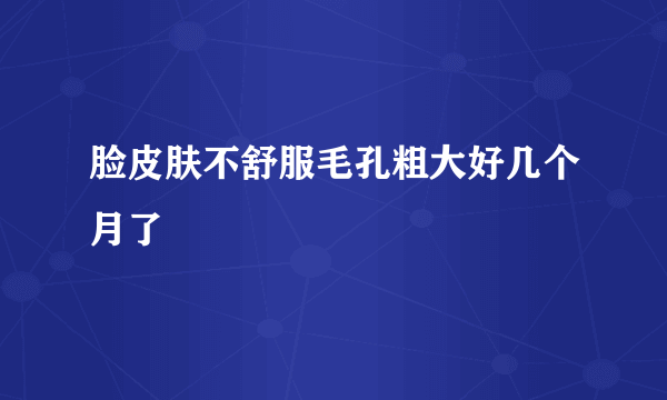 脸皮肤不舒服毛孔粗大好几个月了