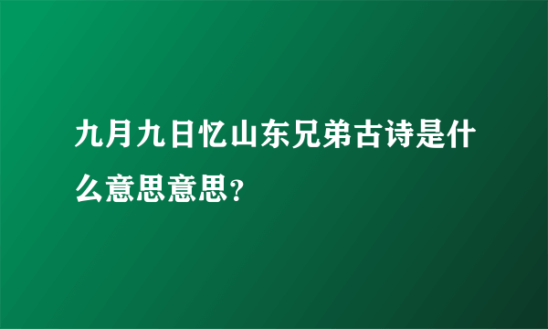 九月九日忆山东兄弟古诗是什么意思意思？