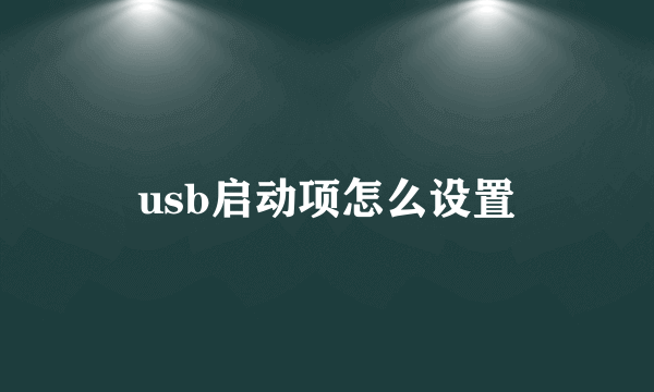 usb启动项怎么设置