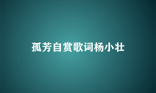 孤芳自赏歌词杨小壮