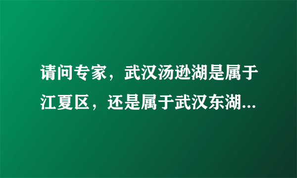 请问专家，武汉汤逊湖是属于江夏区，还是属于武汉东湖高新开发区，谢谢哦？