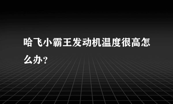 哈飞小霸王发动机温度很高怎么办？