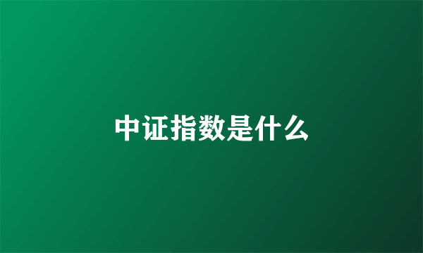 中证指数是什么