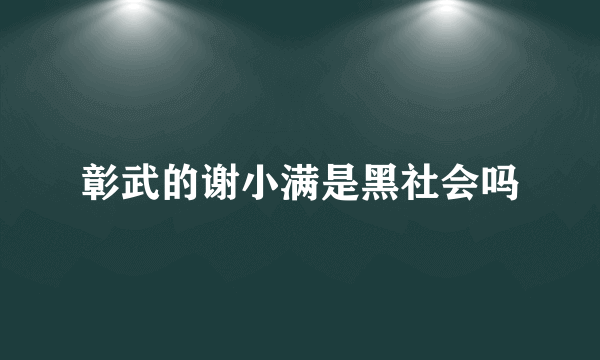 彰武的谢小满是黑社会吗